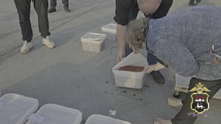 Петропавловск: брат и сестра пойдут под суд за продажу опасной икры с запрещенным консервантом